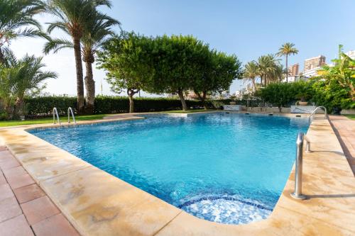 a large swimming pool with palm trees in the background at Apartamentos María Cristina Beach in Benidorm