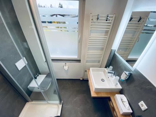 a bathroom with a sink and a mirror at Hotel Wappenhof in Braunlage