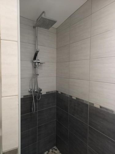 a bathroom with a shower with a shower head at La Teranga proche La Rochelle in Nuaillé-dʼAunis