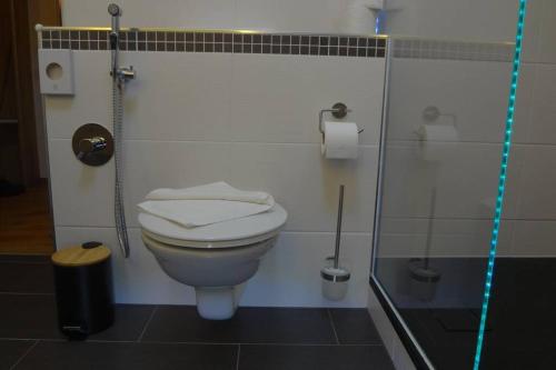 a bathroom with a toilet and a glass shower at Charmante rustikale Jägersuite mit el Kamin H2O Therme Oberhof in Oberhof