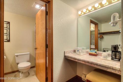 a bathroom with a toilet and a sink and a mirror at Travelodge by Wyndham Juneau in Mendenhaven