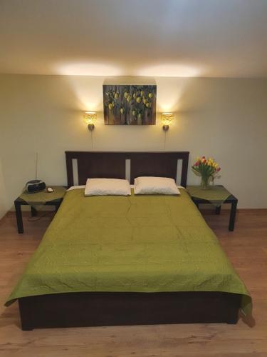 ein Schlafzimmer mit einem großen grünen Bett mit zwei Tischen in der Unterkunft AUSMAS in Strenči