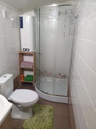 a bathroom with a toilet and a glass shower at AUSMAS in Strenči