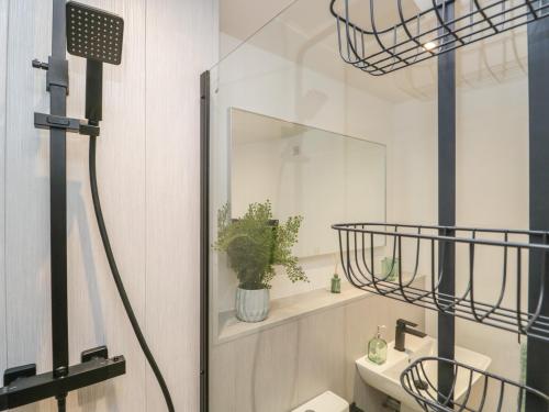 łazienka z lustrem i rośliną na półce w obiekcie Woodland Lodge w mieście Grange-over-Sands