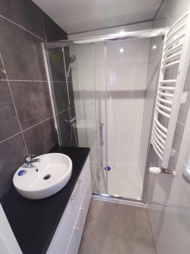 a bathroom with a white sink and a shower at Chalet Mariënberg in Mariënberg