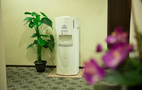a hair dryer sitting on a table next to a plant at Hotel Vistaria in Johor Bahru