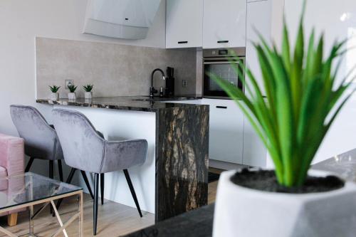 a kitchen with a counter and a table with a potted plant at APARTAMENT w CENTRUM-GARAŻ in Kielce