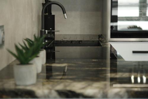 eine Küchenspüle mit einem Wasserhahn und einer Pflanze in der Unterkunft APARTAMENT w CENTRUM-GARAŻ in Kielce