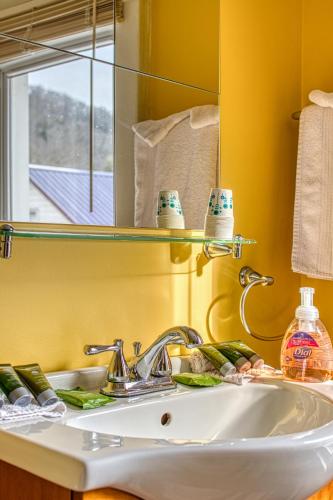 a bathroom with a sink and a mirror at Mountain Treasure Bed and Breakfast in Maplecrest
