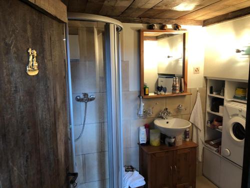 a bathroom with a shower and a sink at Atelier Berg zum Bildji in Staldenried