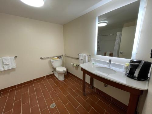 a bathroom with a toilet and a sink and a mirror at Holiday Inn Bangor by IHG in Bangor