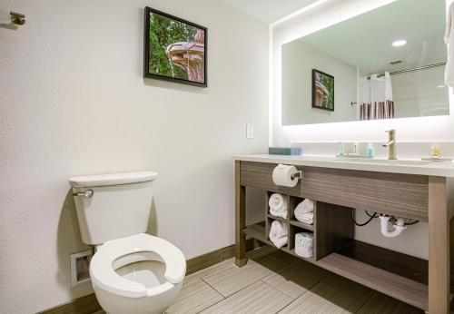La salle de bains est pourvue de toilettes et d'un lavabo. dans l'établissement La Quinta by Wyndham Mobile, à Mobile