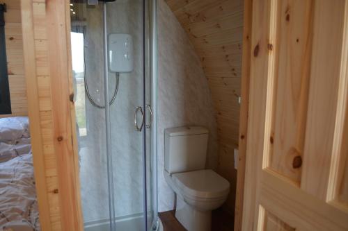 a small bathroom with a toilet and a shower at Lochview Pods in Harlosh