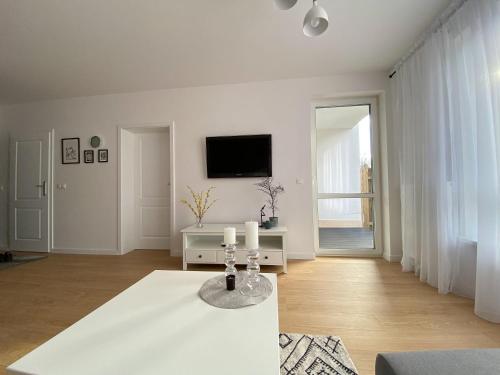 TV a/nebo společenská místnost v ubytování Apartament Abi z GARAŻEM