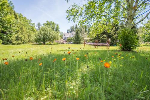 a park with a bench in a field of flowers at The Notch Hostel in North Woodstock