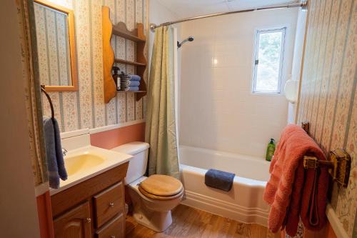 a bathroom with a toilet and a sink and a shower at The Notch Hostel in North Woodstock