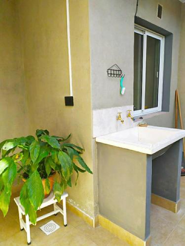 a bathroom with a sink and a potted plant at Casa en La Viña in San Salvador de Jujuy