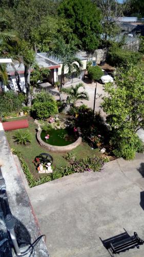 HOTEL PASTORA – Photos 5