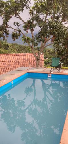 una piscina con una silla y un árbol en ECOCABAÑAS SAN PEDRO, en Anapoima