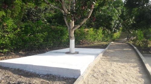 a tree on a concrete slab with a tree on it at ECOCABAÑAS SAN PEDRO in Anapoima