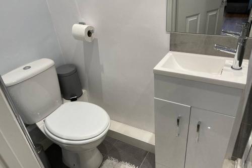 a bathroom with a white toilet and a sink at Small Cosy Studio In Plaistow. East London in London
