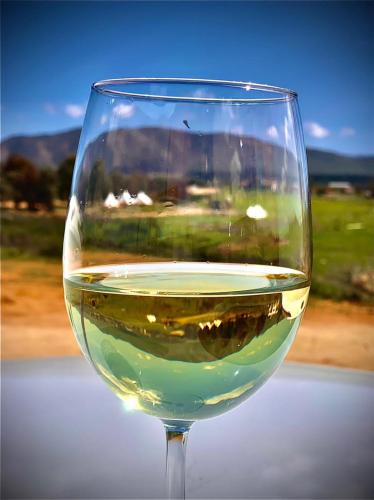 a glass of white wine sitting on a table at Lago Valle Wine Glamping in Valle de Guadalupe