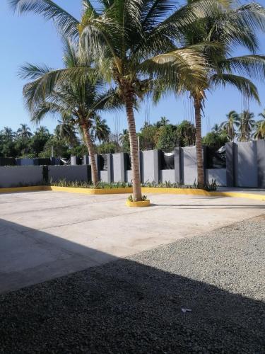a group of palm trees in front of a building at Habitaciones del Pacifico in Zihuatanejo