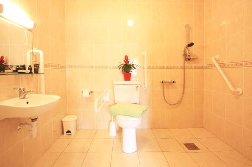 a bathroom with a toilet and a sink and a shower at Ardgroom Leisure Village in Ardgroom