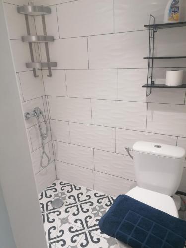 La salle de bains est pourvue de toilettes et d'un tapis bleu. dans l'établissement Le charme du bois, à Écharcon