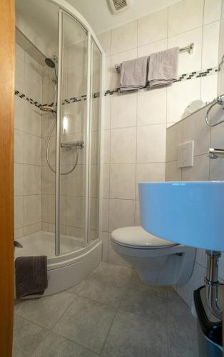 a bathroom with a shower and a toilet and a sink at Ferienwohnungen Haus Cramer in Winterberg