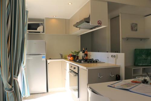 Кухня или мини-кухня в Mobile Homes by KelAir at Playa Montroig Camping Resort
