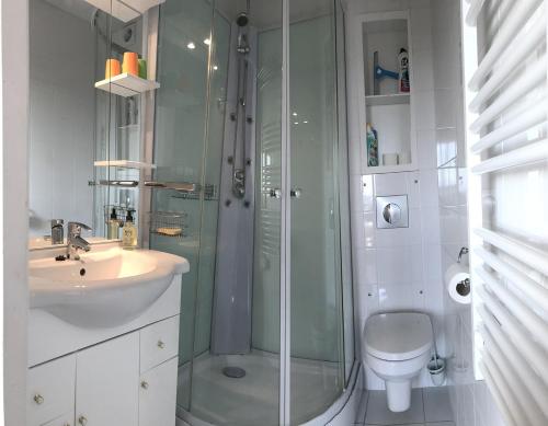 ein Bad mit einer Dusche, einem WC und einem Waschbecken in der Unterkunft Résidence Les Pierrettes in Saint-Gilles-Croix-de-Vie