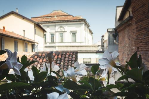 a bush with white flowers in front of a building at Piccola Torre Maison in Vigevano