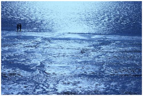 a person standing in the middle of a body of water at Landhaus Krabbe von Greetsiel in Greetsiel