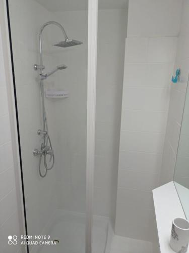 a shower in a bathroom with a glass door at Appartement La Roseraie PARKING PRIVE in Mâcon