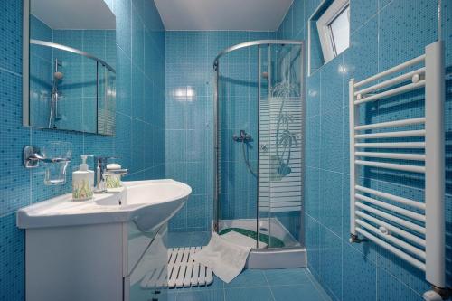 Kylpyhuone majoituspaikassa Vila Alba Brasov