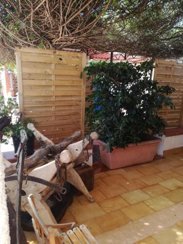 Φωτογραφία από το άλμπουμ του Villa Aurora σε Ognina