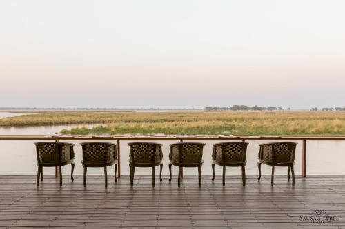 a group of chairs sitting on top of a boardwalk at Sausage Tree Camp in Jeki