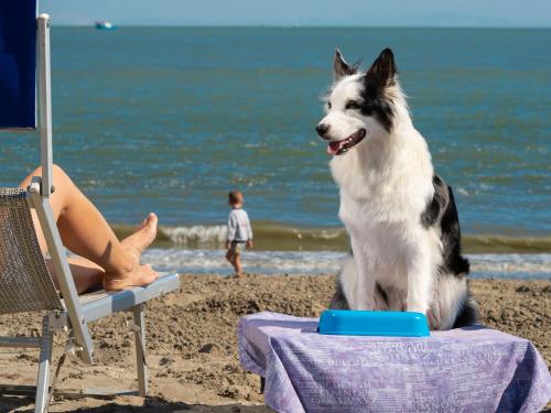 a dog sitting on the beach next to a woman at Apartment in Albarella near Sandy Beach in Isola Albarella