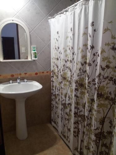 baño con lavabo y cortina de ducha en Departamento temporario con cochera en Resistencia