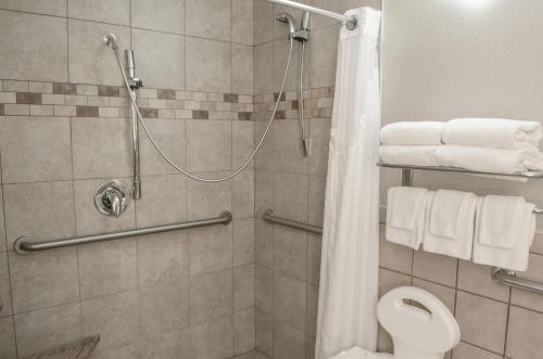 a bathroom with a shower with a toilet and towels at Holiday Inn Fargo, an IHG Hotel in Fargo