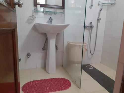 a bathroom with a sink and a shower and a red rug at Dragon I Resorts in McLeod Ganj
