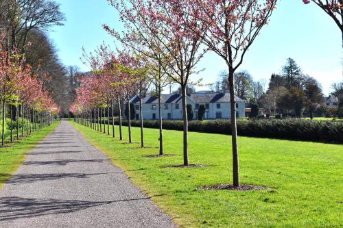Un jardín fuera de The Birches Killarney
