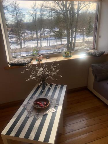 Гостиная зона в Stamerienas Apartamenti