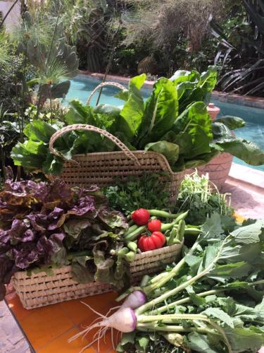 two baskets of vegetables sitting on the ground at Dar al Hossoun in Taroudant