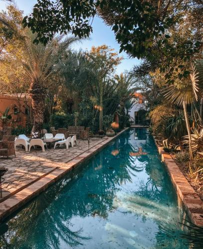 a swimming pool in a garden with chairs and trees at Dar al Hossoun in Taroudant