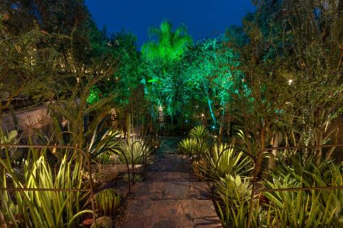 a garden with green lights in the trees at night at Dar al Hossoun in Taroudant