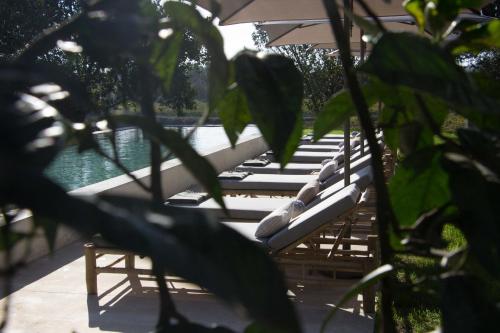 a row of chairs and an umbrella next to a pool at Terra Rosa Country House & Vineyards in Ponte de Lima