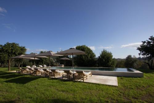 Gallery image of Terra Rosa Country House & Vineyards in Ponte de Lima
