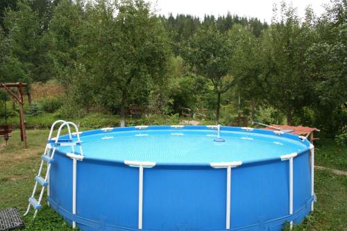 Bazén v ubytování Sadyba Lesivykh nebo v jeho okolí